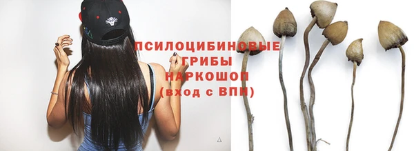 круглые Сковородино