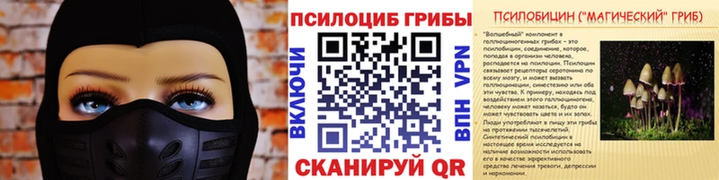 KRAKEN зеркало  что такое   Терек  Псилоцибиновые грибы Psilocybine cubensis 