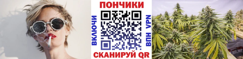 mega ССЫЛКА закладки Терек МАРИХУАНА индика